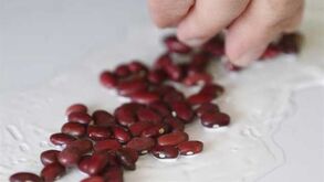 Podes ser notícia no Record