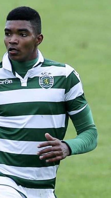 Resultado de imagem para elves balde sporting 2018