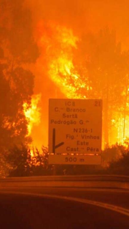 Incêndio de grandes dimensões lavra em Pedrógão Grande