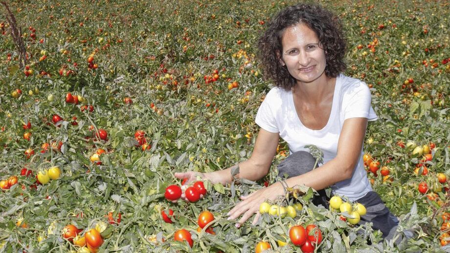 Inês Henriques: «A apanha do tomate fez-me mais forte»