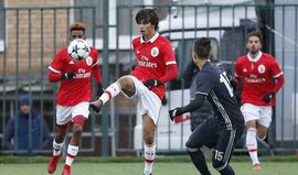 João Félix no lote de 20 jogadores que Rui Vitória observa atentamente