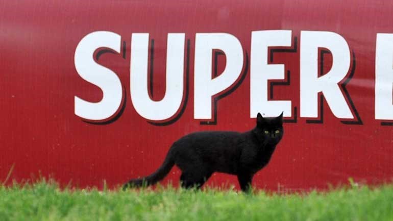 V. Setúbal multado por ter... um gato preto em campo