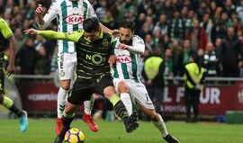 Costinha: «Não perdemos um único jogo nesta competição»