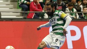 João Matos: «O Sporting vai entrar na máxima força»