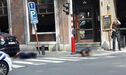 Duas agentes da polícia belga foram mortas em ataque terrorista em Liége