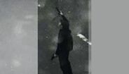 Benjamim Herman, o terrorista de Liége