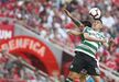 Battaglia (3) A sala de máquinas do Sporting tem no argentino o seu principal motor. Muita força e capacidade de choque, cobrindo os espaços intermédios com a disponibilidade física que lhe é característica