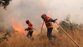 Claque do Farense faz recolha de produtos para ajudar bombeiros e população da serra de Monchique
