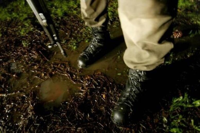 Exército