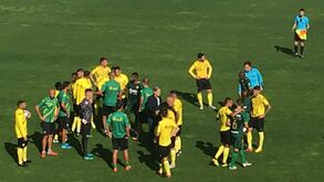 Escaramuças entre jogadores acaba com jogo treino entre Tondela e P. Ferreira