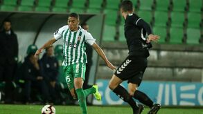 Tarantini e Carlos Vinícius em dúvida para as Aves