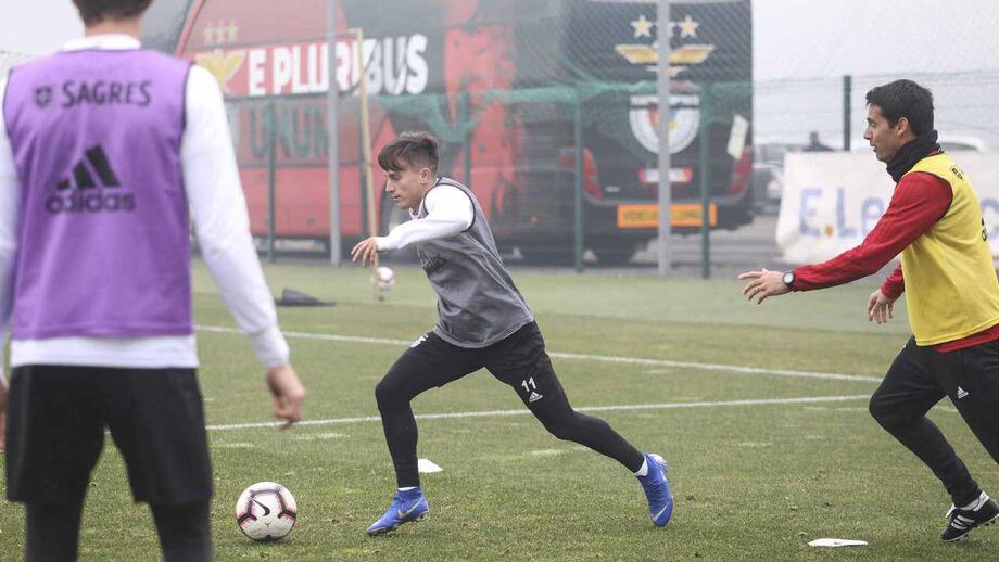 Cervi pode render Zivkovic
