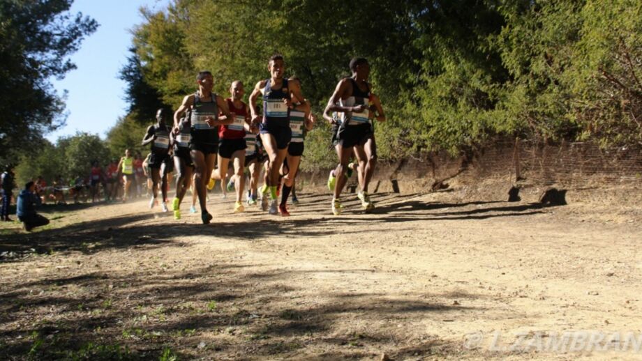 Sportinguistas sem ritmo no Crosse Italica