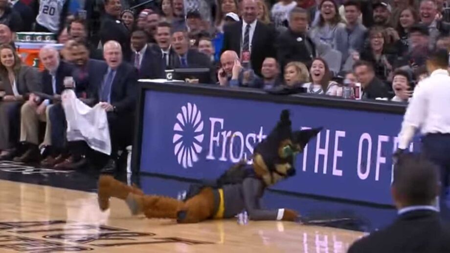 Morcego interrompe um jogo da NBA... mas é capturado pela mascote