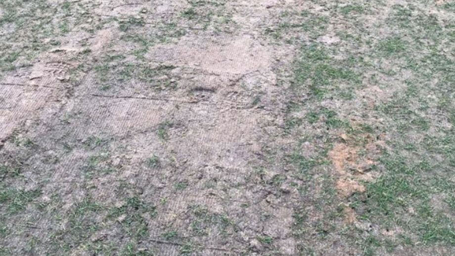 Oliveirense mostra imagens do relvado do Municipal de Aveiro: pior é quase impossível
