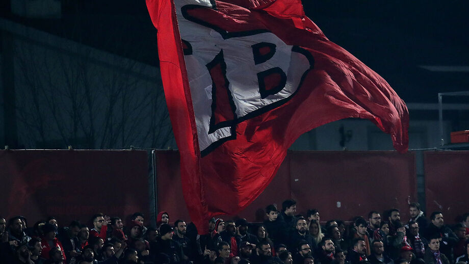 Benfiquistas entusiasmados querem o '37'