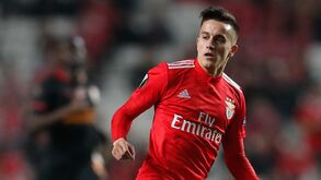 Continuidade no Benfica está fora dos planos de Cervi