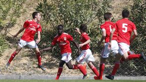 Benfica vence Sporting no arranque da fase de campeão