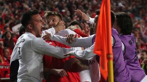 A crónica do Benfica-Tondela (1-0): águia não ganhou para o susto