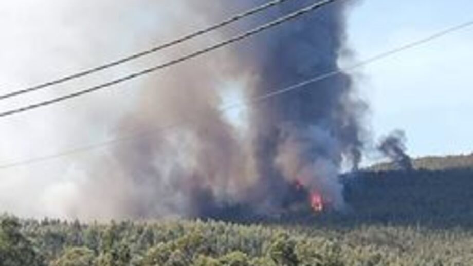 Incêndio descontrolado em Barcelos mobiliza dois meios aéreos