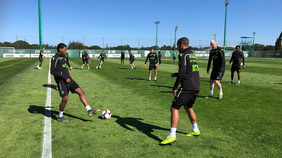 Leão caça talentos na América do Sul