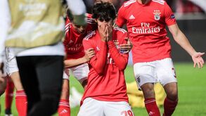 Golos, lágrimas e o gesto final: as imagens da noite mais memorável da carreira de João Félix