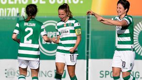 Leoas continuam perseguição ao líder