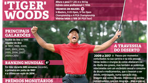 Mundo rendido a Tiger Woods: os números da carreira do golfista