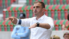 Kuca sofreu estiramento