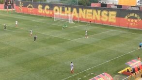 Federação instaura processo a Olhanense e Casa Pia após jogo interrompido