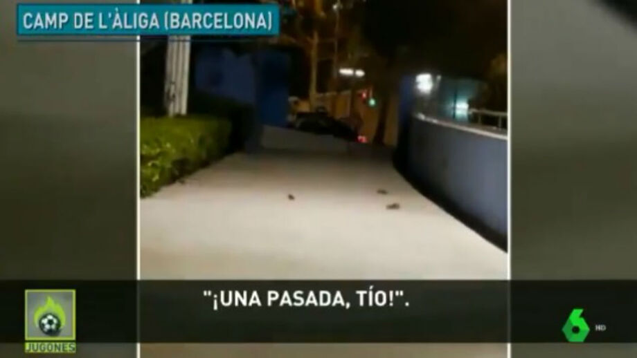Ratazanas invadem clube de Barcelona e alarmam pais das crianças
