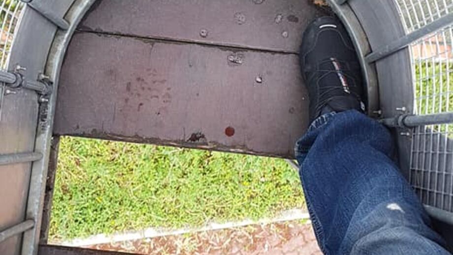Homem apanha susto no Zoo de Lisboa: chão de cabine de teleférico cai durante viagem