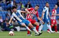 Koke (fica)