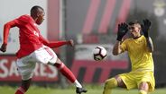 Aflalo (Aves): guarda-redes