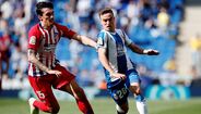 Savic (fica)