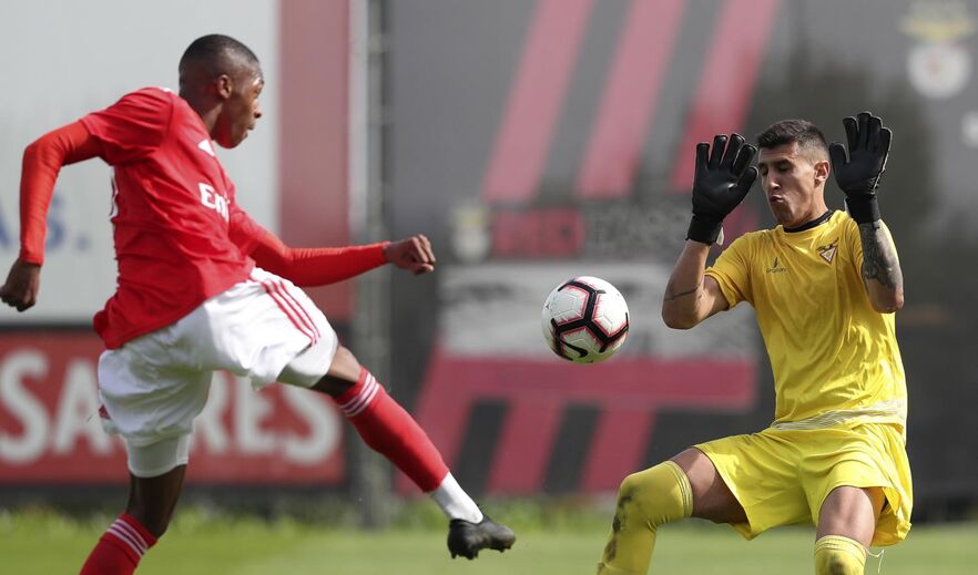 Aflalo (Aves): guarda-redes