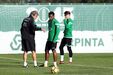 Wendel, Sporting