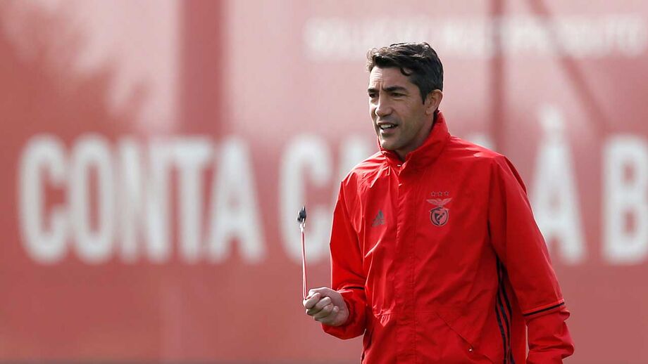 Lage quer plantel com 23
