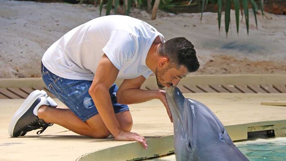 Pizzi não conseguiu dizer adeus ao Algarve sem antes dar um beijinho aos golfinhos