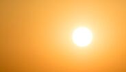 calor xxx