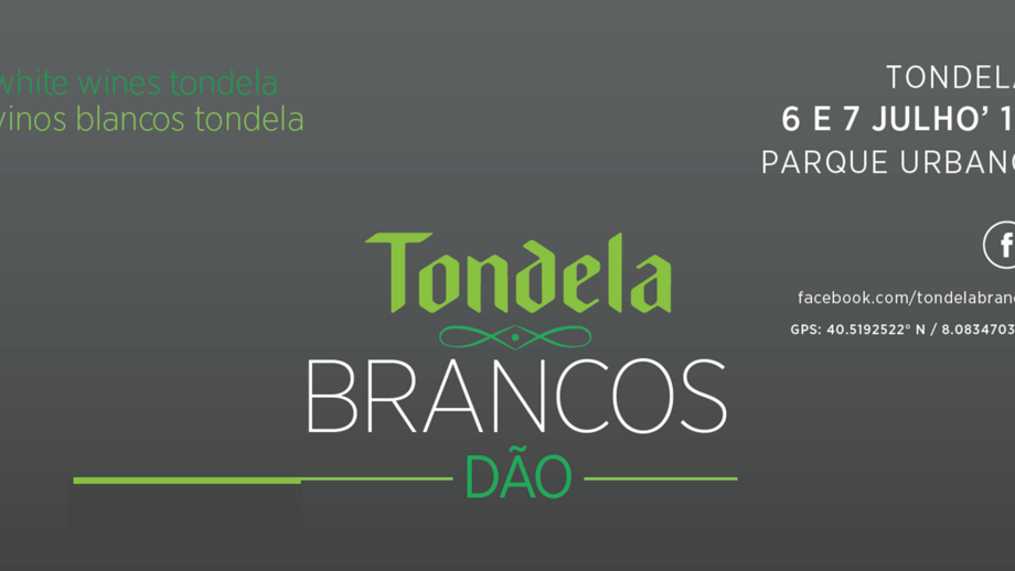 Tondela Brancos 2019