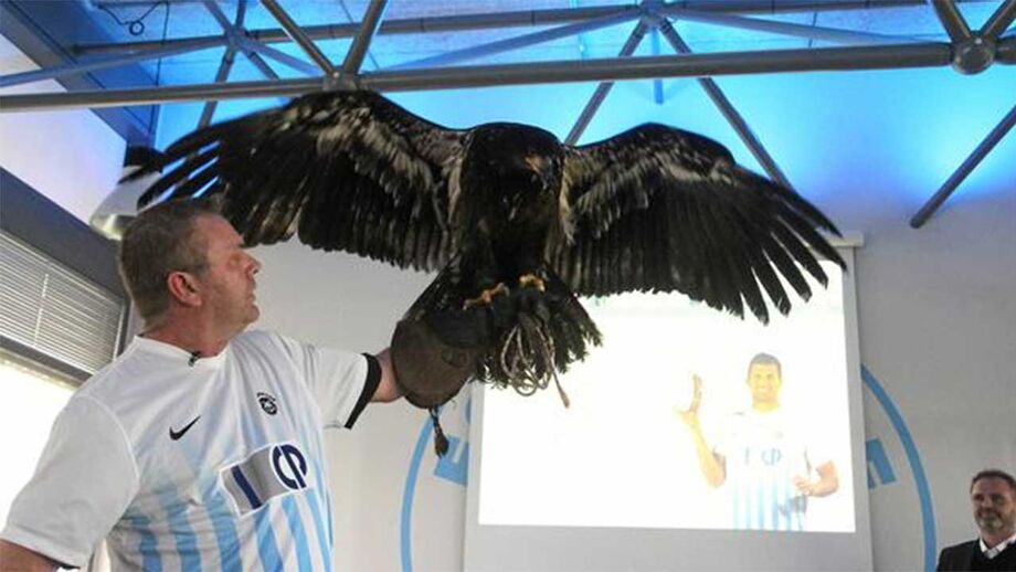 Clube dinamarquês obrigado a vender águia para evitar falência