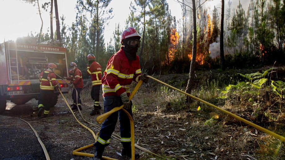 Incêndios: Número de feridos sobre para 20 no distrito de Castelo Branco