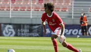 Tiago Araújo