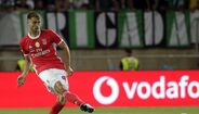 Ferro