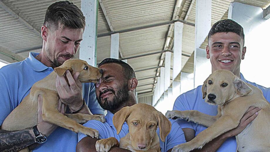 Feirense apoia adoção de cães e gatos abandonados