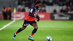 Treinador do Lille rendido a Renato Sanches: «Está a elevar o nível de jogo para jogo»