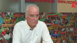 Mário Narciso: «Jorge Jesus mandava o adjunto ir ao estádio às 3 da manhã buscar a cassete do jogo»