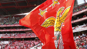 Benfica ataca FC Porto: «Habituaram-se a premiar com viagens e fruta os fiéis servidores»