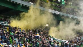 Multas custam 249 mil euros